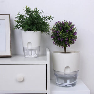 Watering Planter