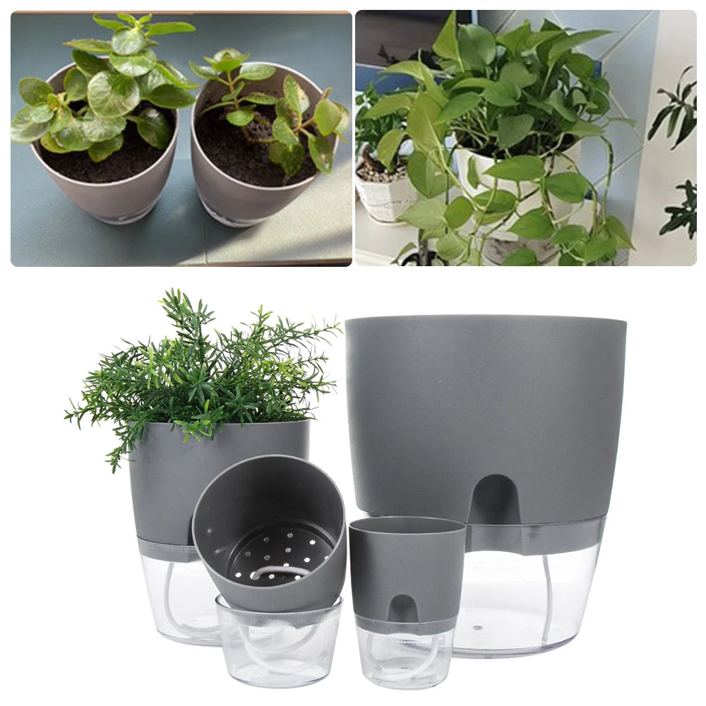 Watering Planter