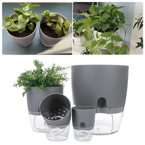 Watering Planter
