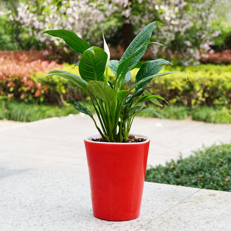Automatic Self Watering Flower Plants Pot