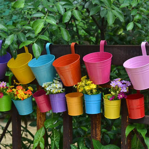 Wall Hanging Flower Pots