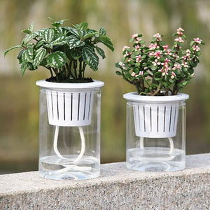 Self-Watering Planter