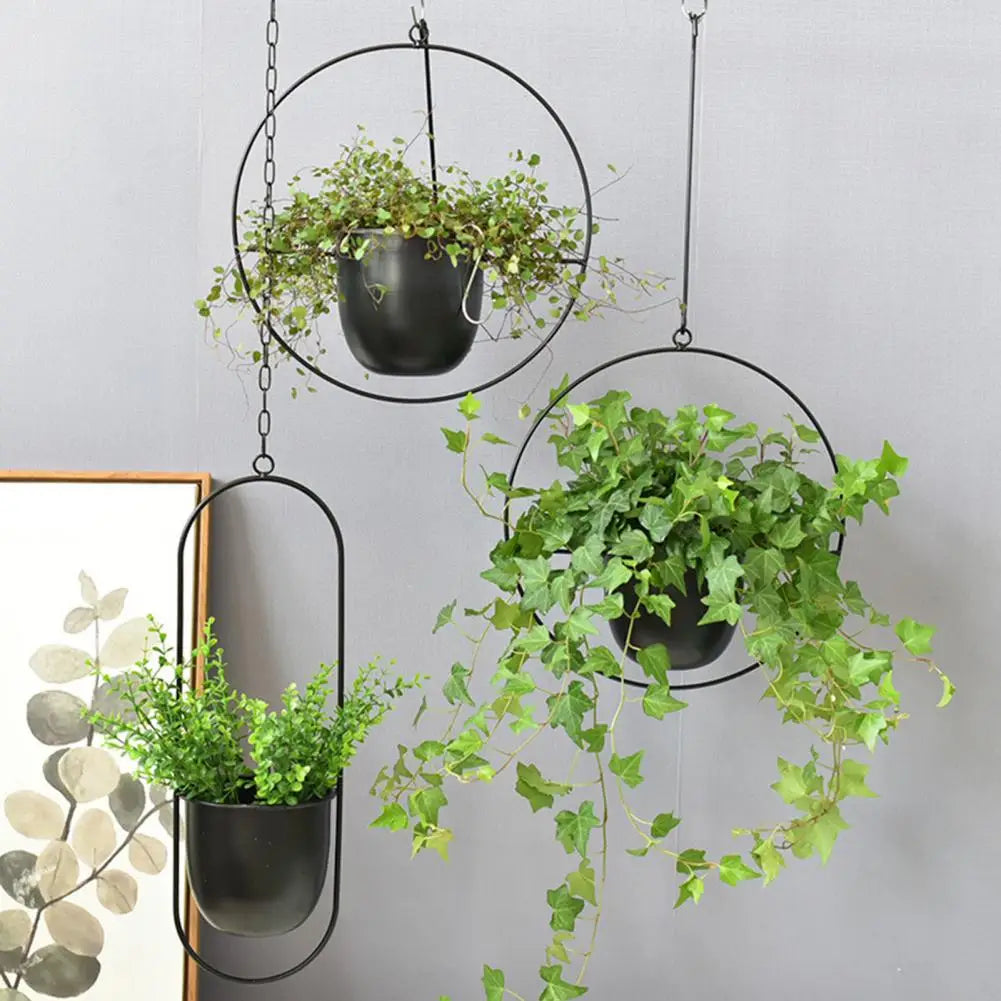 Flower Hanging Pot