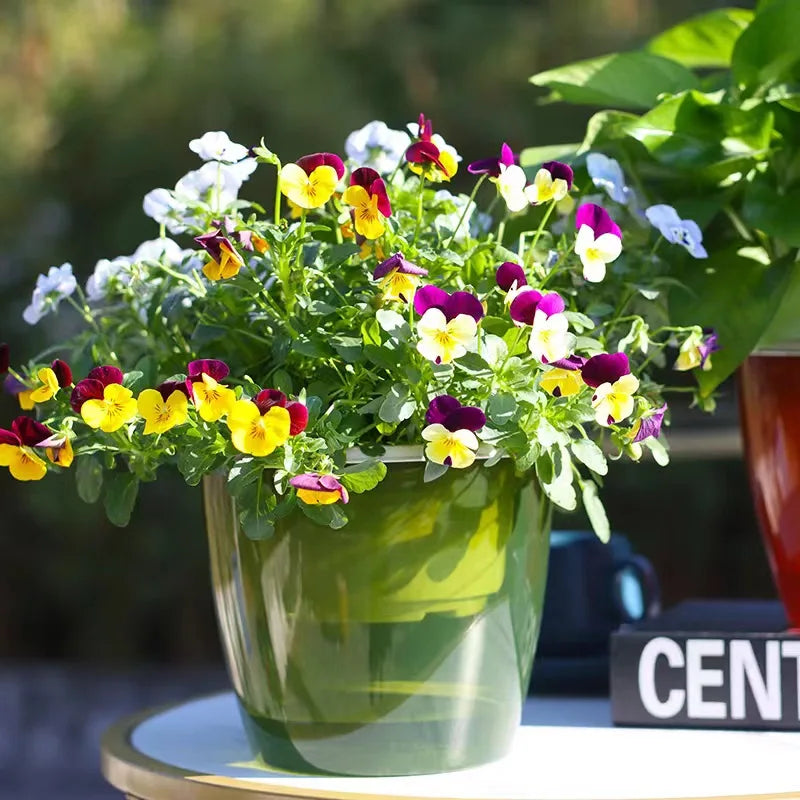 Self Watering Planter Pots