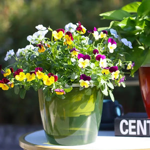 Self Watering Planter Pots