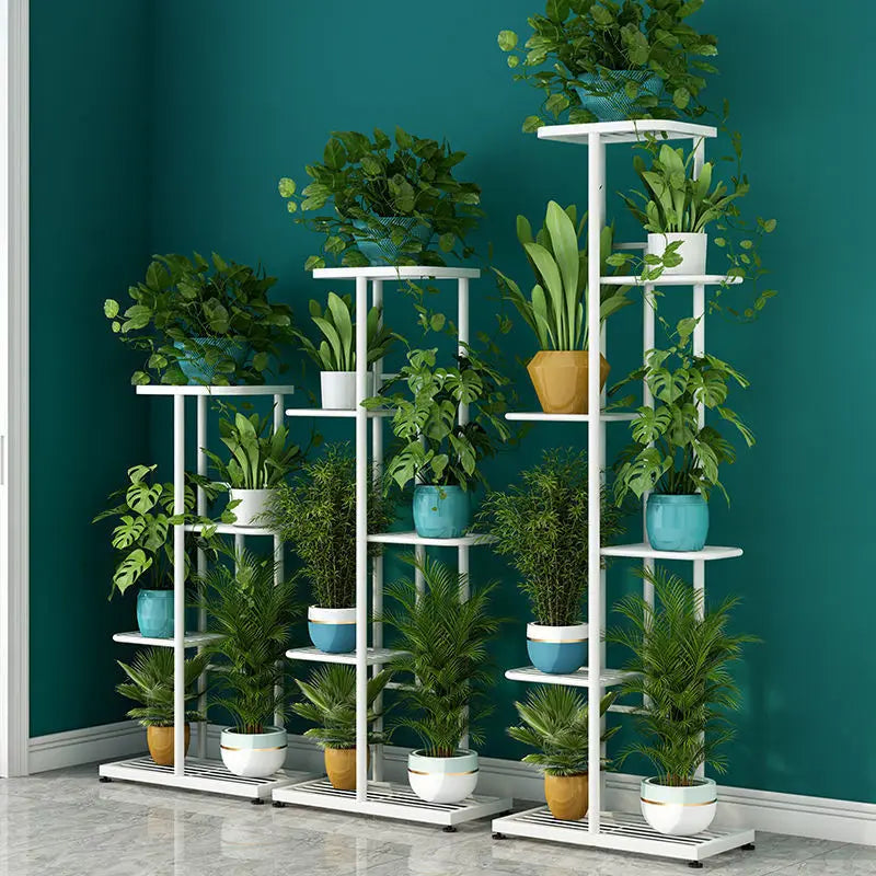 Iron Shelves