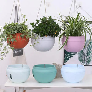 Bowl-Shaped Plastic Flower Pot