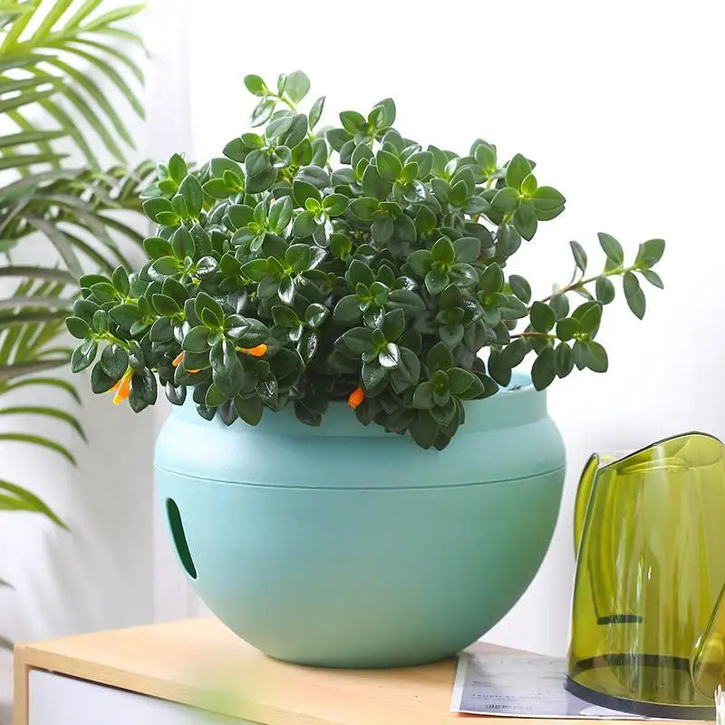 Bowl-Shaped Plastic Flower Pot