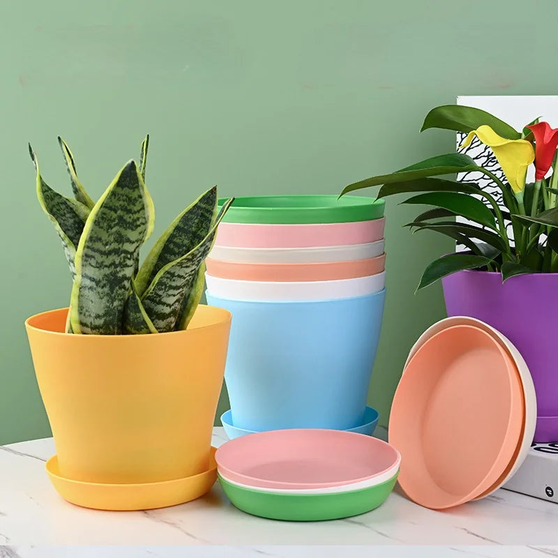 Round Planters Candy Color Mini Flowerpot